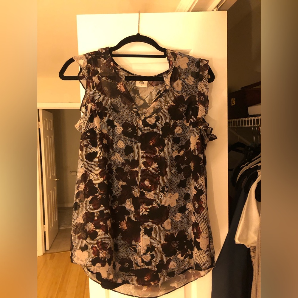 Cabi blouse.